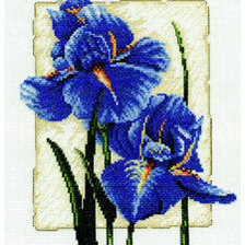 Схема вышивки «ирис»