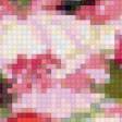 Предпросмотр схемы вышивки «№686324»