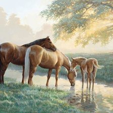 Схема вышивки «У реки»