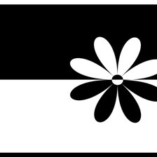 черное и белое