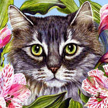 кот в цветах