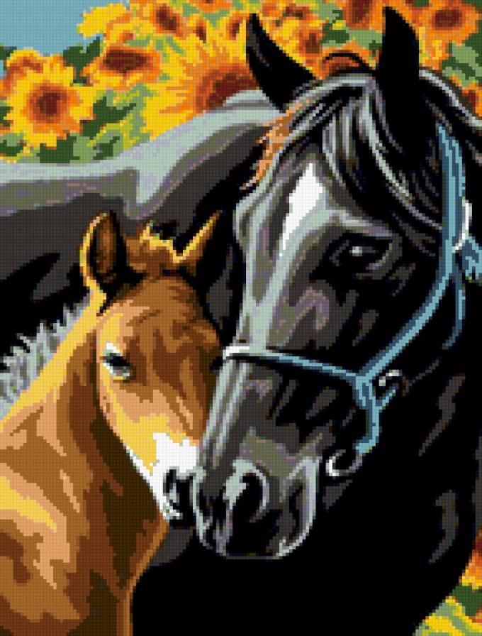 жеребенок и мама - предпросмотр