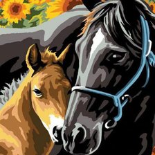 жеребенок и мама