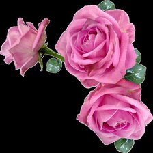 Схема вышивки «№686695»