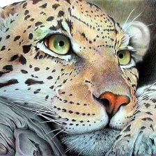 Схема вышивки «№686783»