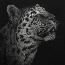 Схема вышивки «леопард»