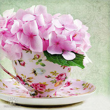 Схема вышивки «№686877»