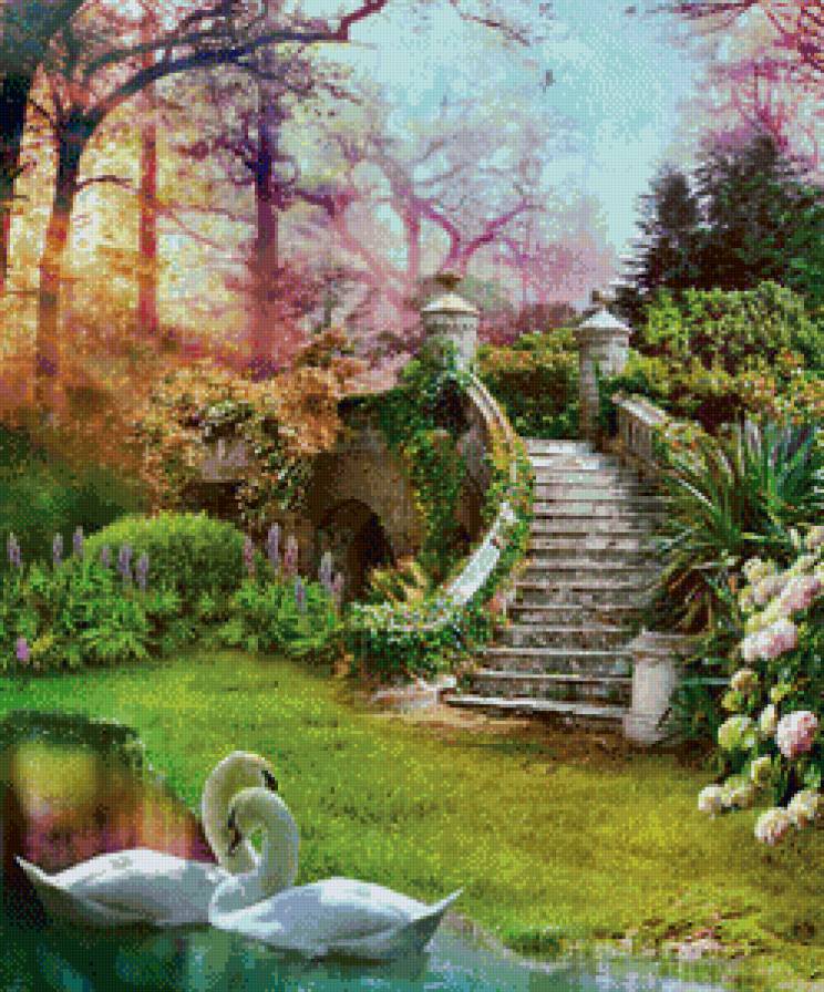 лебеди - лебеди, сад, цветы, пруд, птицы - предпросмотр