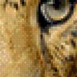 Предпросмотр схемы вышивки «Леопард» (№687195)