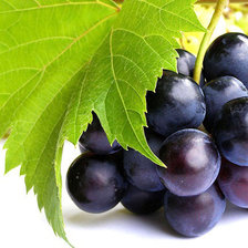 Схема вышивки «Виноград»