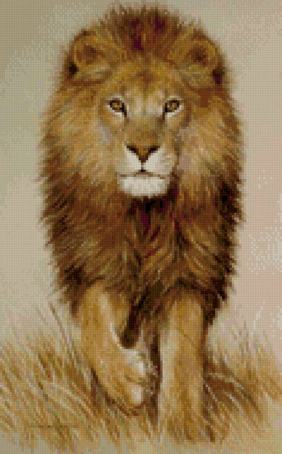 лева - предпросмотр