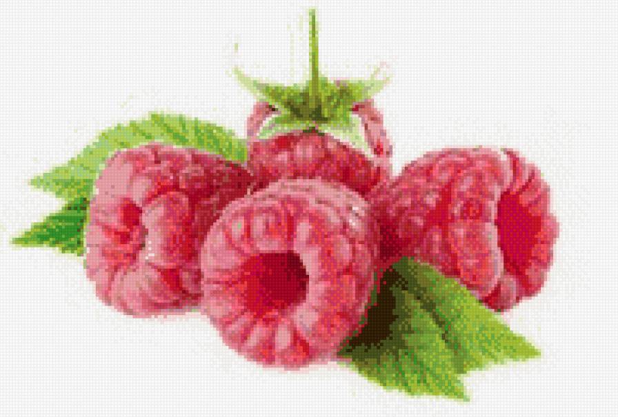 Малина - предпросмотр