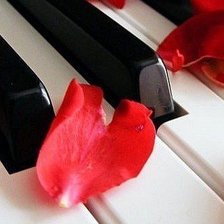 Схема вышивки «лепестки на клавишах»