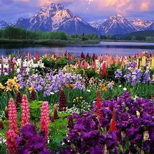 Схема вышивки «Цветы»