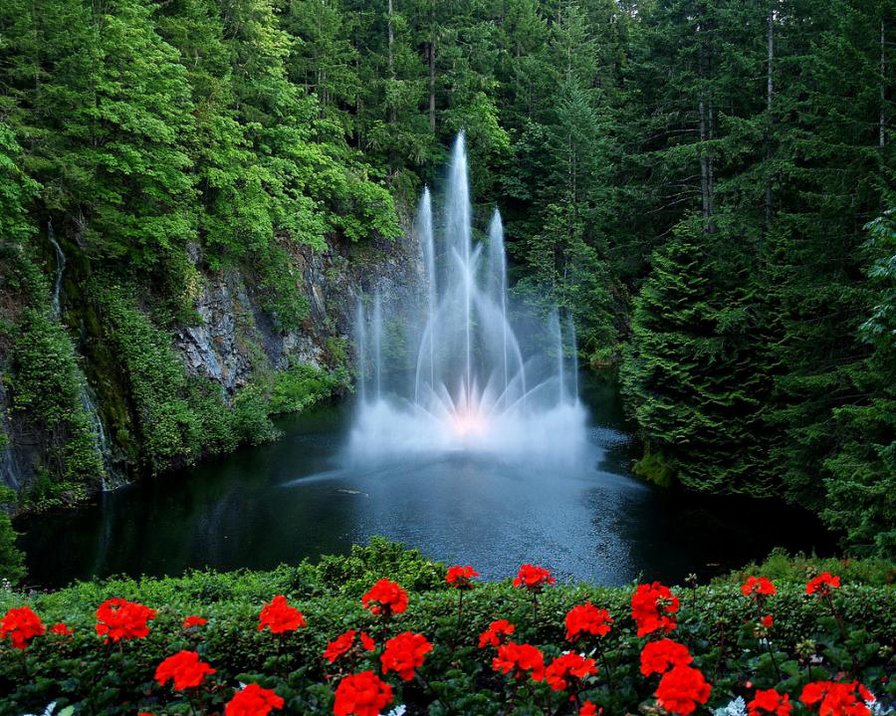 пейзаж, водопад, маки - оригинал
