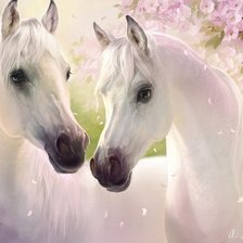 Схема вышивки «красивая пара»