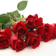 Схема вышивки «Красные розы»