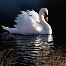 Схема вышивки «№687840»