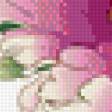 Предпросмотр схемы вышивки «Пионы» (№687904)