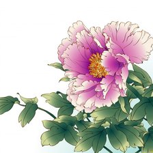 Схема вышивки «Пионы»