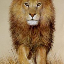 Схема вышивки «King Leon»