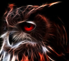 Схема вышивки «Филин»