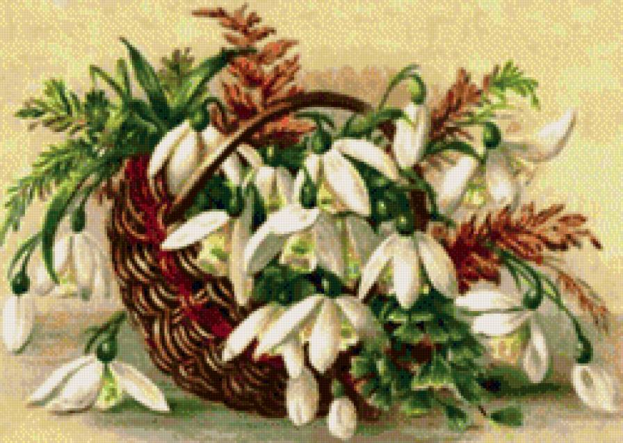 корзинка подснежников - природа, подснежники, цветы, букет, корзинка - предпросмотр