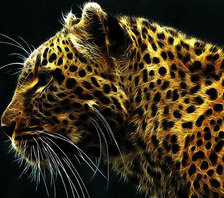 Схема вышивки «леопард»