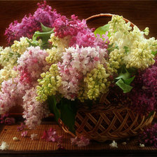 Схема вышивки «сирень»