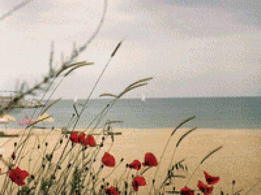 маки на берегу - маки, трава, спокойствие, озеро, кораблик - предпросмотр