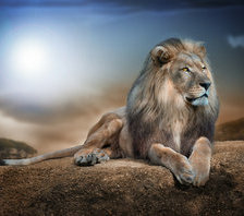 Схема вышивки «лев»