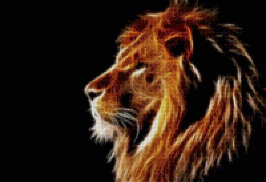 Царь зверей - животные, кошки - предпросмотр