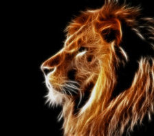 Схема вышивки «Царь зверей»