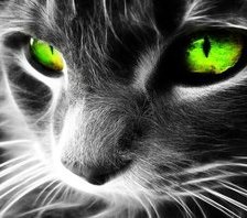 Схема вышивки «Кисюк»