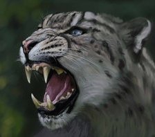 Схема вышивки «Ирбис»