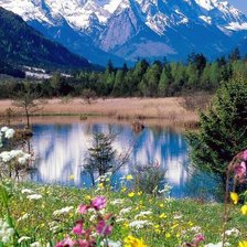 Схема вышивки «Альпийский луг»