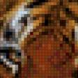 Предпросмотр схемы вышивки «тигра» (№688587)