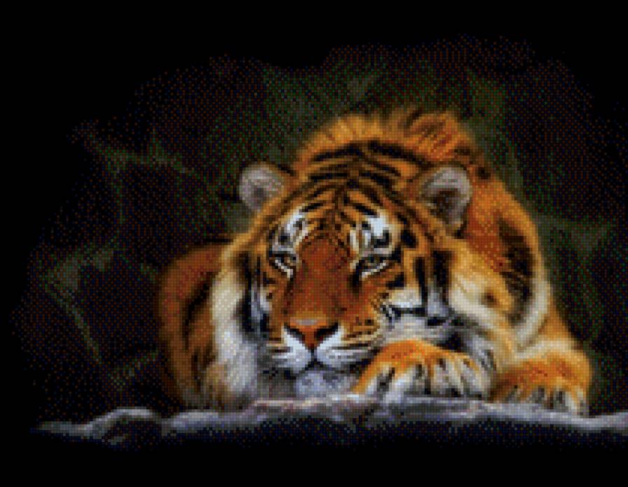 тигра - животные, тигр - предпросмотр