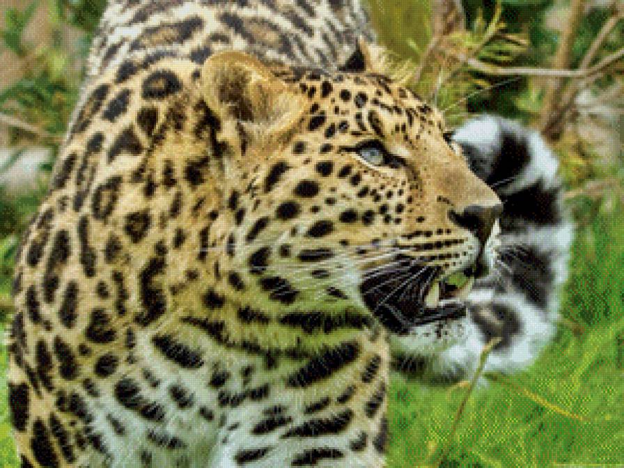 №688688 - животные, кошка, гепард - предпросмотр