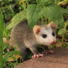 Схема вышивки «№688694»