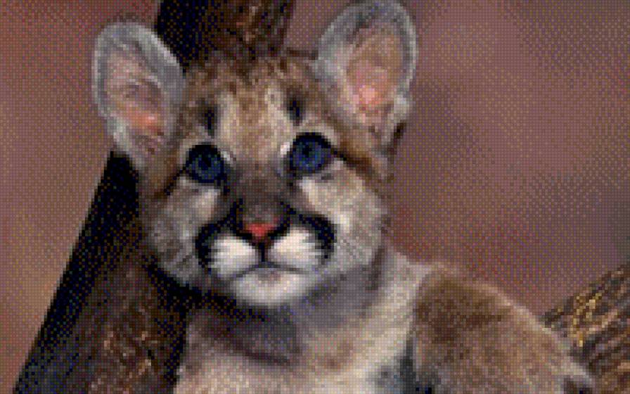 львенок - животные, кошки - предпросмотр