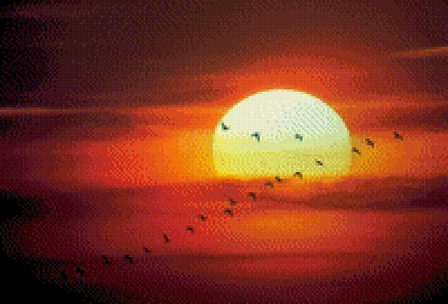 журавли в закате - небо, природа, птицы, журавли, сонце, закат - предпросмотр