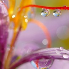 Схема вышивки «капли»