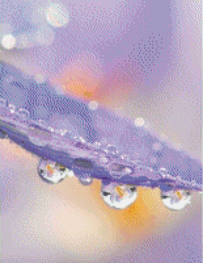 лепесток в росе - роса, природа - предпросмотр