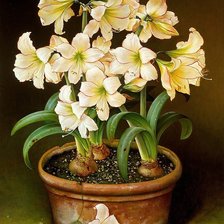 Схема вышивки «№688956»