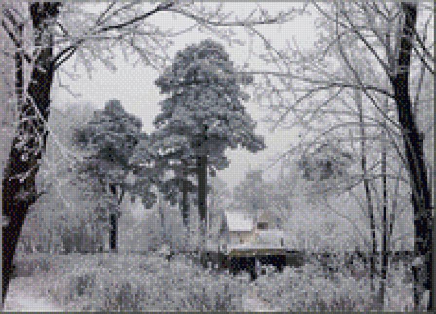 зима - природа, дом, монохром, снег, деревья, зима - предпросмотр