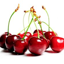 Схема вышивки «вишенки»