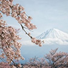 Схема вышивки «Сакура и Фудзияма»