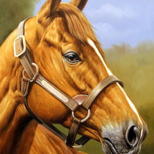 Схема вышивки «Красавчик 2»