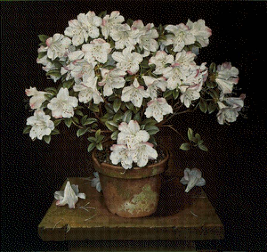 №689259 - предпросмотр